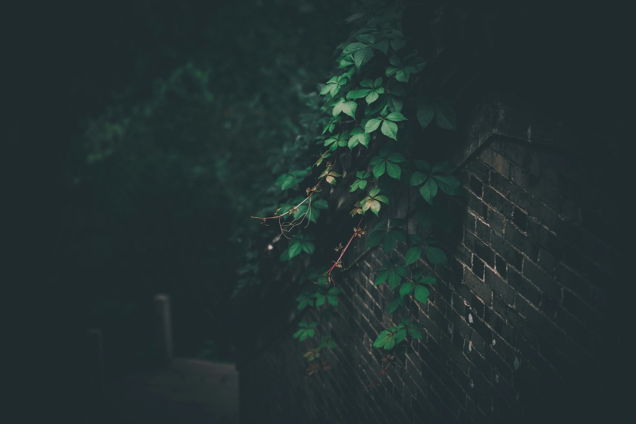 Как освободить место на iPhone без удаления важных файлов