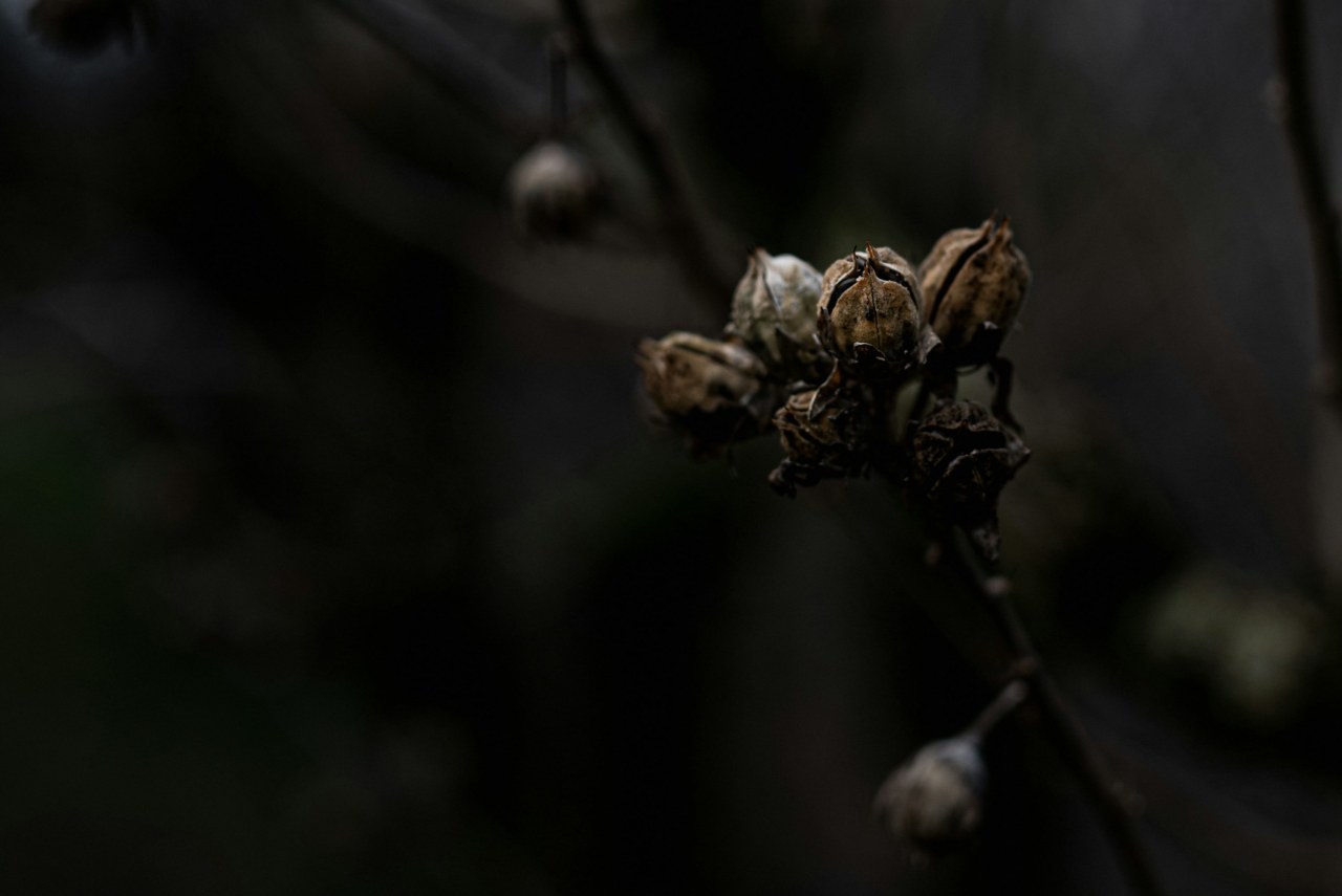 Як захистити свої дані на iPhone: поради щодо безпеки